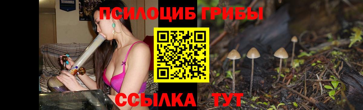 Галлюциногенные грибы Magic Shrooms  Псилоцибиновые грибы Psilocybe  Ангарск  Вход с VPN 
